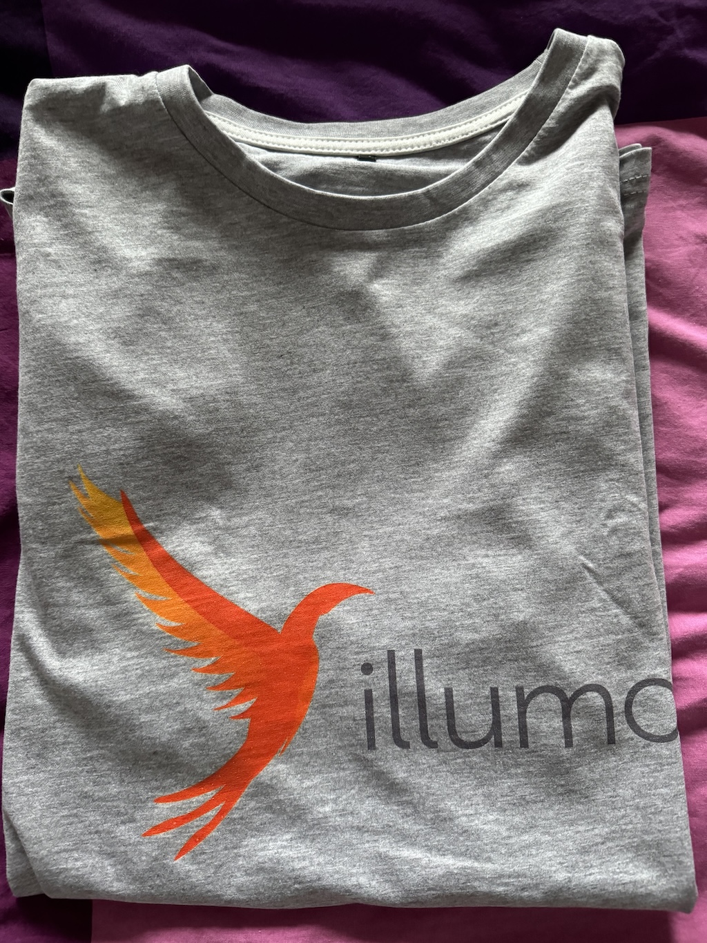 Illumos Fosdem 2024 Shirt