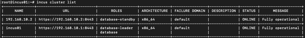 Incus Cluster List