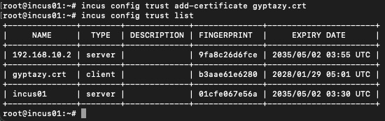 Incus Imported Certificates