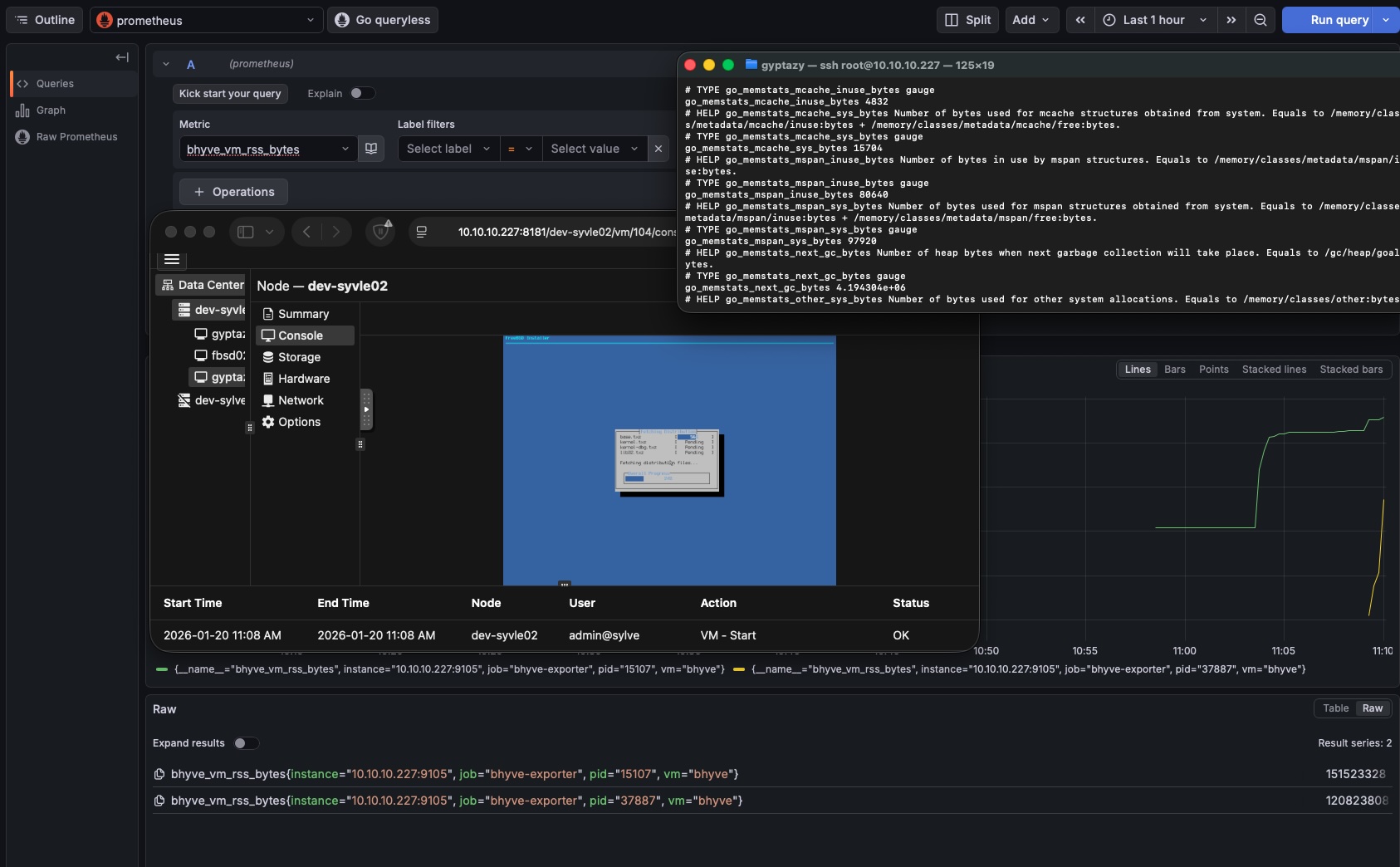 Prometheus exporter for bhyve on Sylve for FreeBSD visualizating metrics in Grafana.
